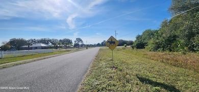 Xxx Fawn Trail St, Palm Bay, FL 32909 - photo 2