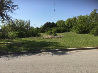 TBD Love St, Weatherford, TX 76086 - photo 4