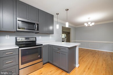 7202 Regent Dr, Alexandria, VA 22307 - photo 4