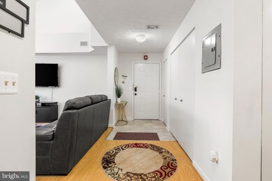 1803 Snow Meadow Ln unit 301, Baltimore, MD 21209 - photo 4