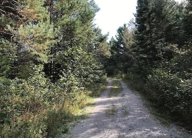 1570 Ryno Rd, Luzerne, MI 48636 - photo 4