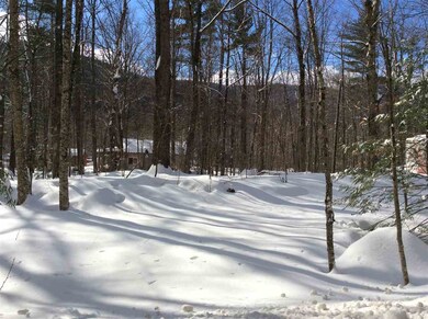 0 Jericho unit 4675486, Bartlett, NH 03812 - photo 6