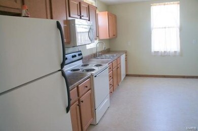 8 S Monroe St, Freeburg, IL 62243 - photo 6