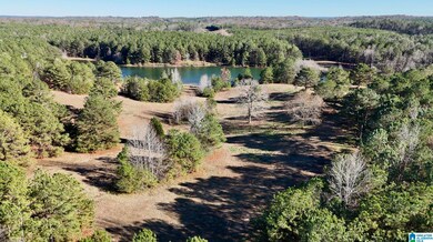 10000 Eastern Valley Rd, Woodstock, AL 35188 - photo 7