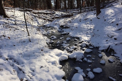 577 Schodack Landing Rd, Schodack Landing, NY 12156 - photo 4