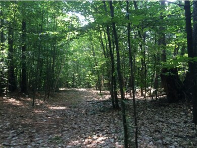 00 Ayers Rd, Canterbury, NH 03224 - photo 5