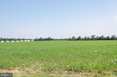 3444 S State St, Camden Wyoming, DE 19934 - photo 5