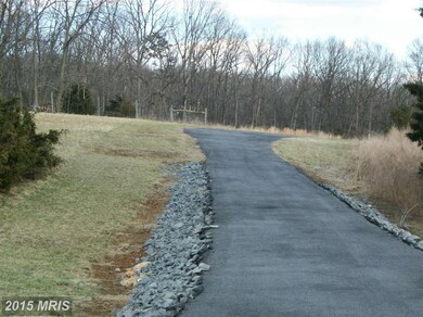 0 Cave Ridge Rd unit 1002898426, Mount Jackson, VA 22842 - photo 6