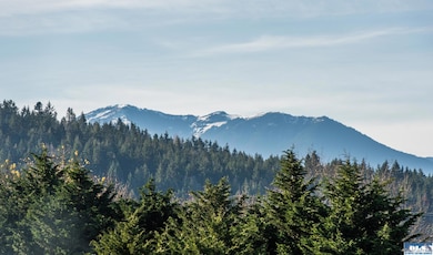 NKA Washington Harbor Loop, Sequim, WA 98382 - photo 6