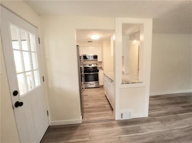 Brand new open kitchen from the living room.