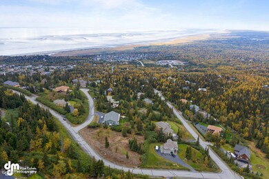 Aerials MS_93311-SMALL
