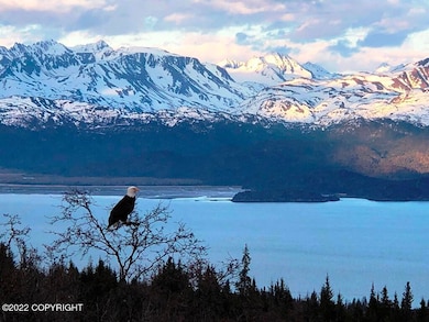 Eagle View