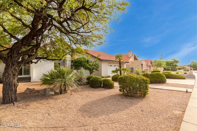 1951 E Citation Ln, Tempe, AZ 85284 - photo 3