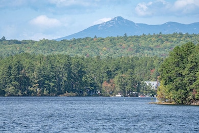 40 Bay Point Rd, Center Ossipee, NH 03814 - photo 7