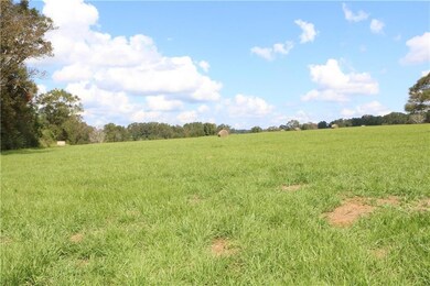 Lot 11 Zack Magee Rd, Franklinton, LA 70438 - photo 3