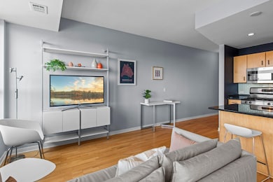 Built-in Entertainment Unit