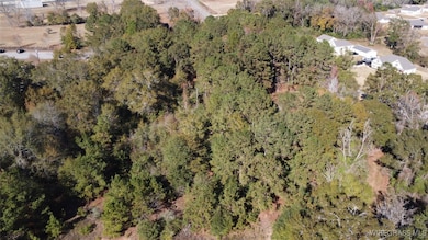 2318 County Road 622, Enterprise, AL 36330 - photo 4