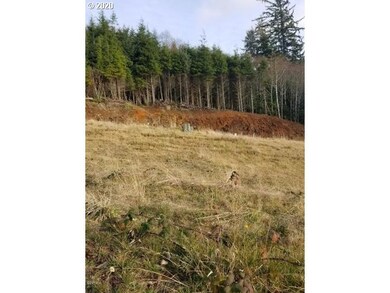 0 Lillian Ln unit 14 20034010, Depoe Bay, OR 97341 - photo 3