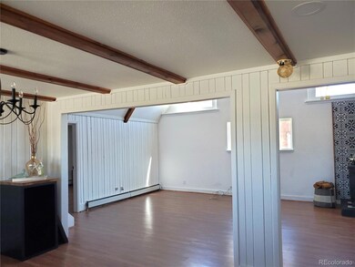 523 Narcisso Ave, Fort Garland, CO 81133 - photo 5