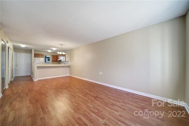 1562 Eagles Place unit L103, Rock Hill, SC 29732 - photo 5
