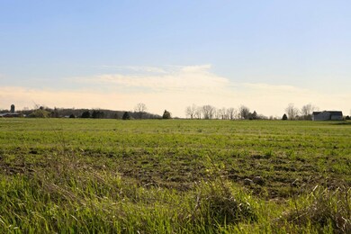 1240 N Steinbach Rd, Dexter, MI 48130 - photo 2