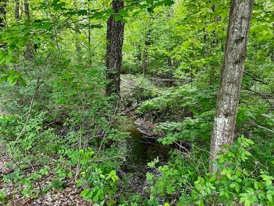 1566NFitzgerald-Creek1