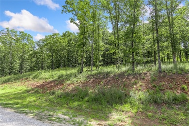 Lot 23 Restore Ridge, Harrison, AR 72601 - photo 3