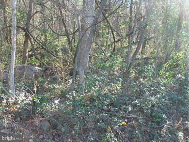 0 Deer Rapids Rd unit VASH113976, Strasburg, VA 22657 - photo 4