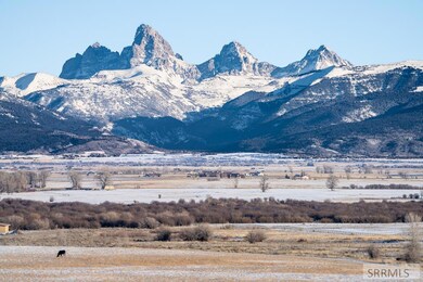 Teton View