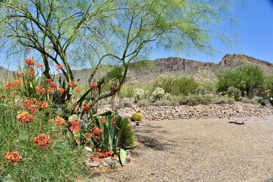 Desert Views