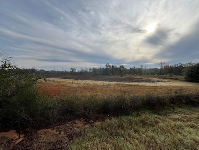 0 Fish Pynes Rd, Pansey, AL 36370 - photo 4