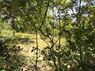 1038 Valley Rd, Crestview, FL 32539 - photo 2