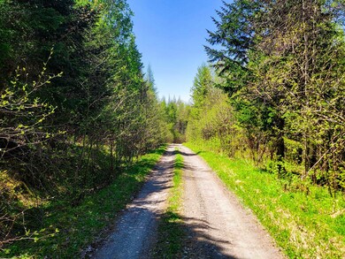 85 Border View Dr, Pittsburg, NH 03592 - photo 7