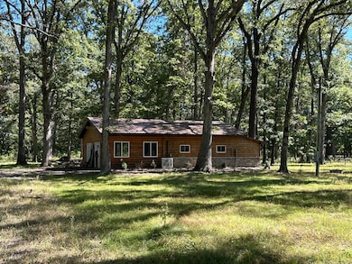 328 County Road 1175 E, Louisville, IL 62858 - photo 2