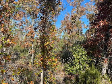 TBD Lot #18 Sea Oaks Dr, Perry, FL 32348 - photo 7