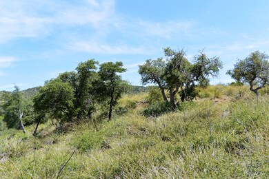 DSC_2353 (2)