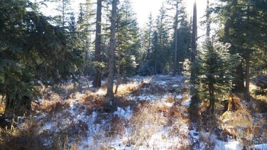 37 Lucky Creek Ln, Columbia Falls, MT 59912 - photo 2