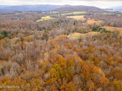 mls-DJI_0113-HDR