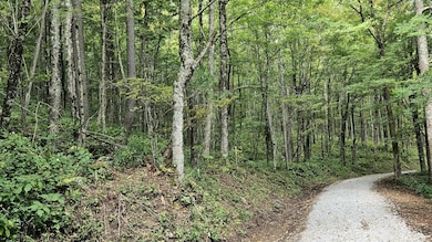 0 Lot 22 Eagles Nest unit 25-854, Snowshoe, WV 26209 - photo 3