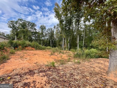 110 Oak Forest Dr, Oxford, GA 30054 - photo 6