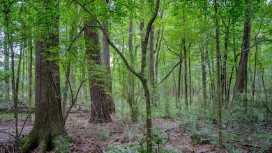 0000 Big Creek Rd, Byram, MS 39212 - photo 4