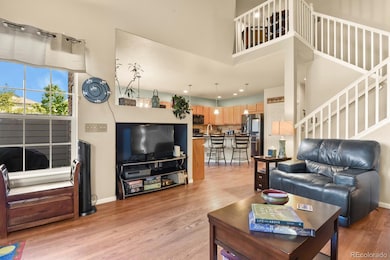 4877 Raven Run, Broomfield, CO 80023 - photo 5