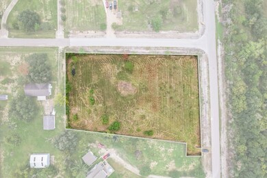 5595 County Road 155, Algoa, TX 77511 - photo 3