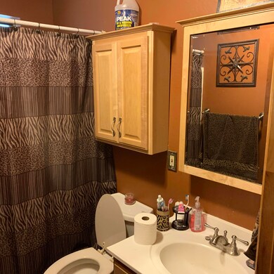 3968 N Mohawk St, Pine, AZ 85544 - photo 6