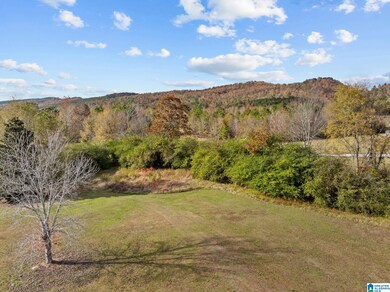 00 Armstrong Rd, Ashville, AL 35953 - photo 4