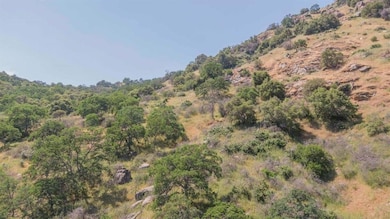 0 Ruth Hill Rd unit 616689, Squaw Valley, CA 93675 - photo 4