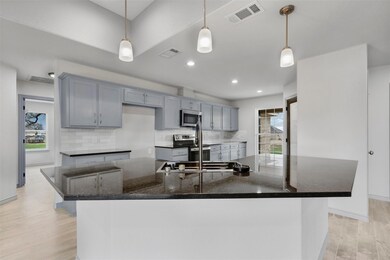 1008 Abbie Ruth Ct, Springtown, TX 76082 - photo 7