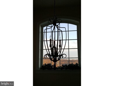 297 Bowmansville Rd, Mohnton, PA 19540 - photo 6