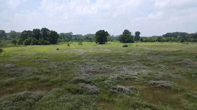 3345 Beach Rd, Port Huron, MI 48060 - photo 4