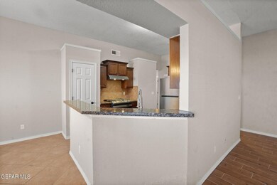 725 Desert Sage Dr, Horizon City, TX 79928 - photo 6